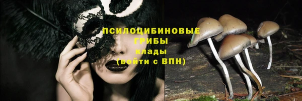 экстази Сясьстрой